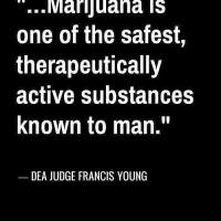 Is Marijuana really safe?